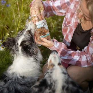 RECENZIA: Sušený koktail