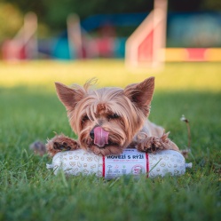 Saláma hovädzia s ryžou 850 g