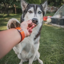 Saláma hovädzia s ryžou 850 g