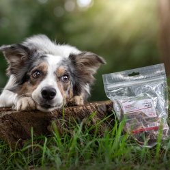 Sušená Hovězí trachea řezaná 5 ks