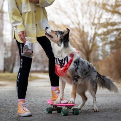 Sušená střívka zlomky 50 g