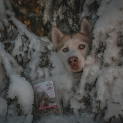 Sušená střívka zlomky 50 g