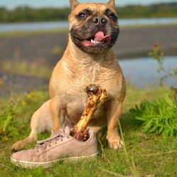 Sušená vepřová kost