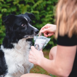 Sušená vepřová střívka