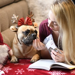 Sušená vepřová střívka