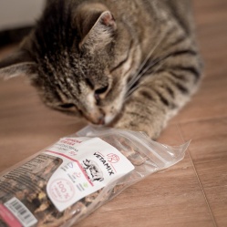 Sušená vepřová střívka