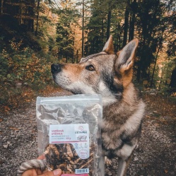 Sušená vepřová střívka