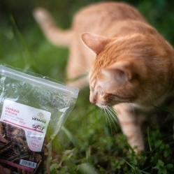 Sušená vepřová střívka zlomky 100 g