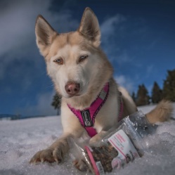 Sušená vepřová střívka zlomky 100 g
