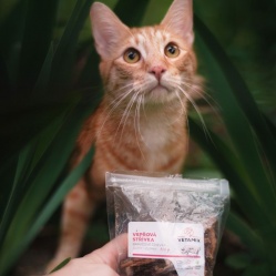 Sušená vepřová střívka zlomky 100 g