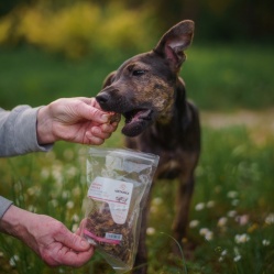 Sušená vepřová střívka zlomky 100 g