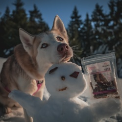 Sušená vepřová střívka zlomky 100 g