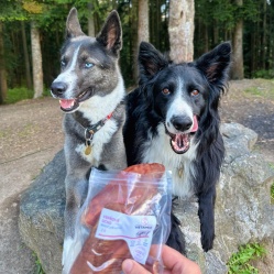 Sušené bravčové ucho