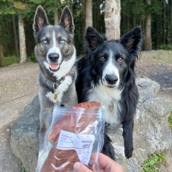 Sušené bravčové ucho