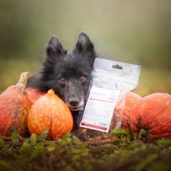 Sušené hovädzie šľachy