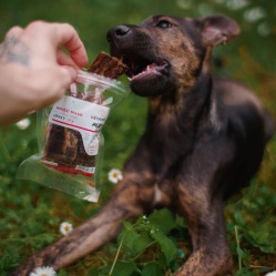 Sušené hovězí maso JERKY