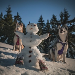 Sušené hovězí maso JERKY