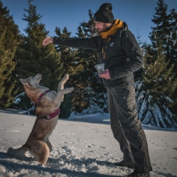 Sušené hovězí maso JERKY