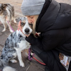 Sušené kuřecí maso