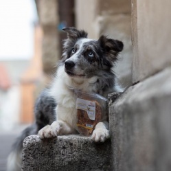 Sušené kuřecí maso