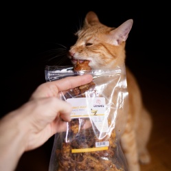 Sušené kuřecí maso