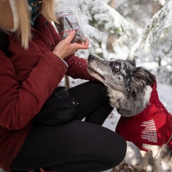 Sušený hovädzí pažerák
