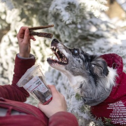 Sušený hovädzí pažerák