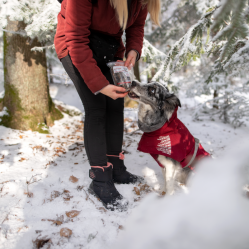 Sušený hovädzí pažerák