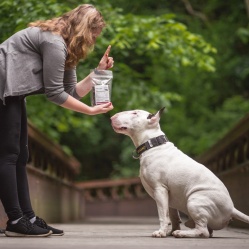 Sušený hovädzí pažerák