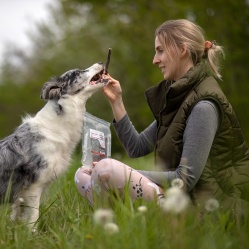 Sušený hovädzí pažerák