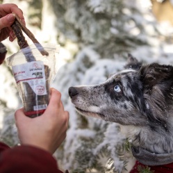 Sušený hovädzí pažerák