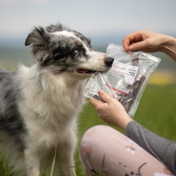 Sušený hovädzí pažerák