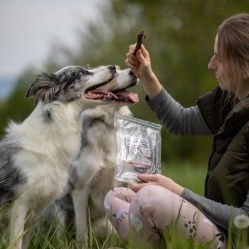 Sušený hovädzí pažerák