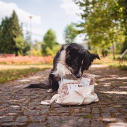 Vepřové maso mleté 500 g