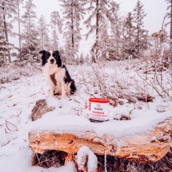 Vepřové ve vlastní šťávě 400 g