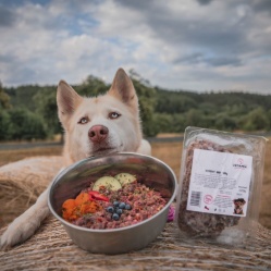 Vepřový BARF 500 g