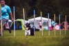 VETAMIX na agility pretekoch v Rokycanoch