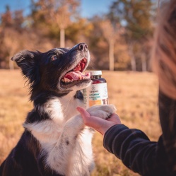 Vetamix Vitamíny každodenní péče