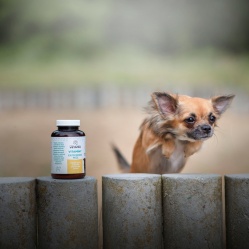 Vetamix Vitamíny každodenní péče