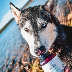 Vetamix vitamíny minerál