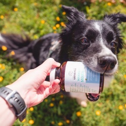 Vetamix vitamíny minerál