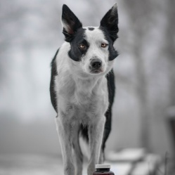 Vetamix vitamíny minerál