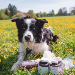 Vetamix vitamíny minerál