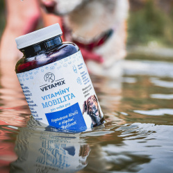 Vetamix vitamíny mobilita pre veľké psy