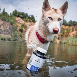 Vetamix vitamíny mobilita pro velké psy