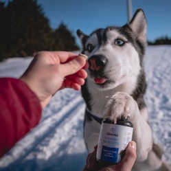 Vetamix vitamíny mobilita pro velké psy