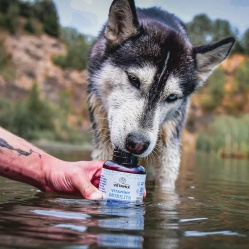 Vetamix vitamíny mobilita pro velké psy