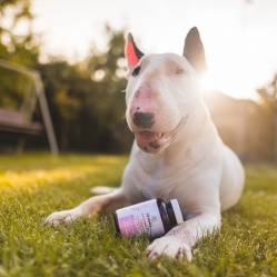 Vetamix vitamíny srst a pokožka pro velké psy