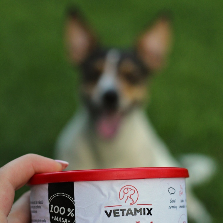 ZAČÍNAME BARFOVAŤ: naša cesta k lepšiemu životu