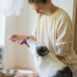 Zvěřinový BARF 500 g